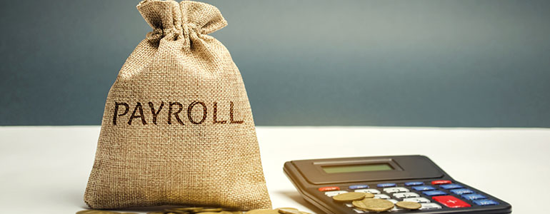 Malta payroll forms and FSS deductions